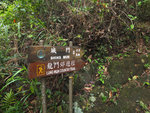 DSCF2446