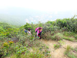 DSCF2545