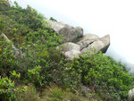 DSCF2546