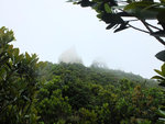 DSCF2548