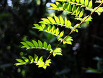 DSCF3478