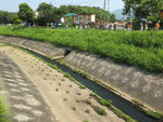 DSCF3701