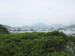 DSCF4081