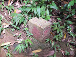 DSCF4398
