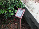 DSCF7572