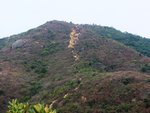 DSCF4450
