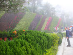 DSCF2663