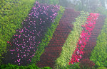 DSCF2664