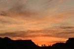 DSC_3322