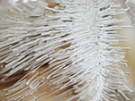 dscn0720