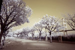 ROB_9549