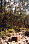 R804