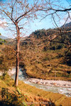 R814