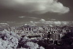 ROB_0514