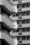 ROB_6436