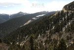 ROB_4500
