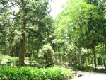 DSCN2894