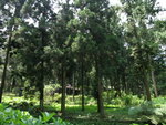 DSCN2896