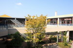 Marinoa City 內園景
