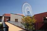 Marinoa City 內園景