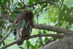 ABO-KT-20070429-10