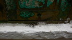 P1000301