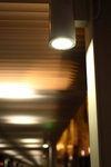 IMG_2849
