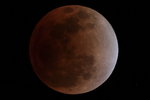 TLE20111210223256