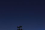 Ursa Major