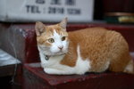 IMG_3156