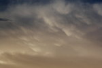 IMG_4230