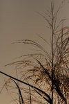 IMG_3543