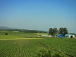 往知床途中 - 北見的田野