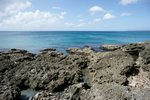 DSC00637
