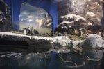 DSC00752