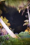 DSC00780