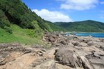IMG_2903