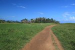 IMG_2962