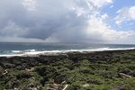 IMG_2965