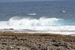 IMG_2971
