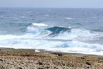 IMG_2975