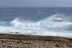 IMG_2976