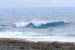 IMG_2990