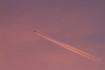 IMG_0069