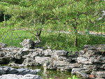 DSCN3868