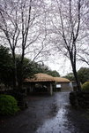 DSC01801