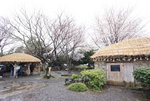 DSC01806