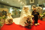 DSC01817