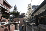 DSC01920