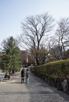 DSC02026